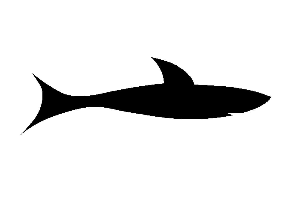 Download File Shark Black Svg Wikipedia