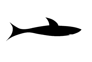 Shark 24