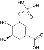 Иллюстративное изображение статьи 3-Фосфошикимовая кислота