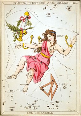 Plate 5: Gloria Frederici, Andromeda, and Triangula