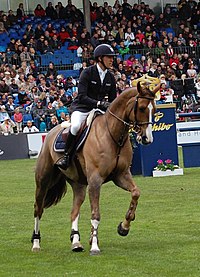 Simon Delestre mit Napoli du Ry, CSI 5 Hampuri 2012.JPG