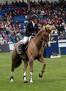 Simon Delestre med Napoli du Ry, CSI 5 * Hamburg 2012