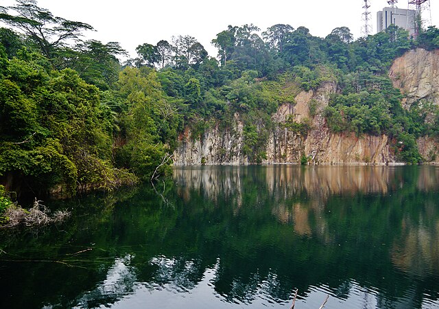 640px-Singapore_Bukit_Timah_Nature_Reserve_1.jpg (640×450)