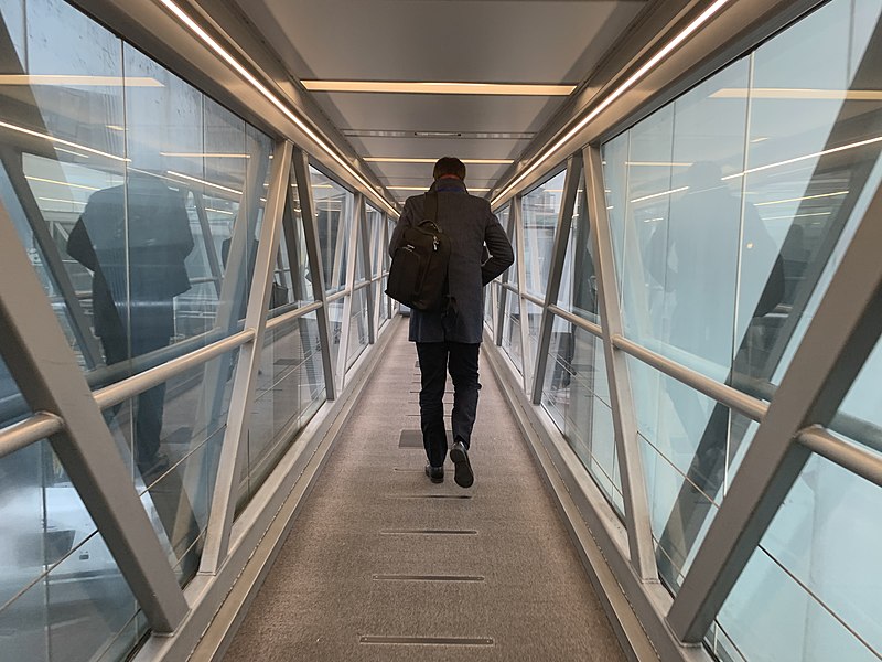 File:Sortie de l'avion en provenance de Lyon en janvier 2020, aéroport de Nantes.jpg