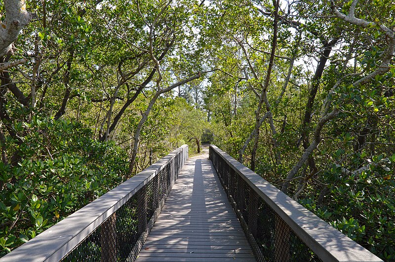 File:South Lido County Park - Sarasota, Florida 2023-01-22 (02).jpg