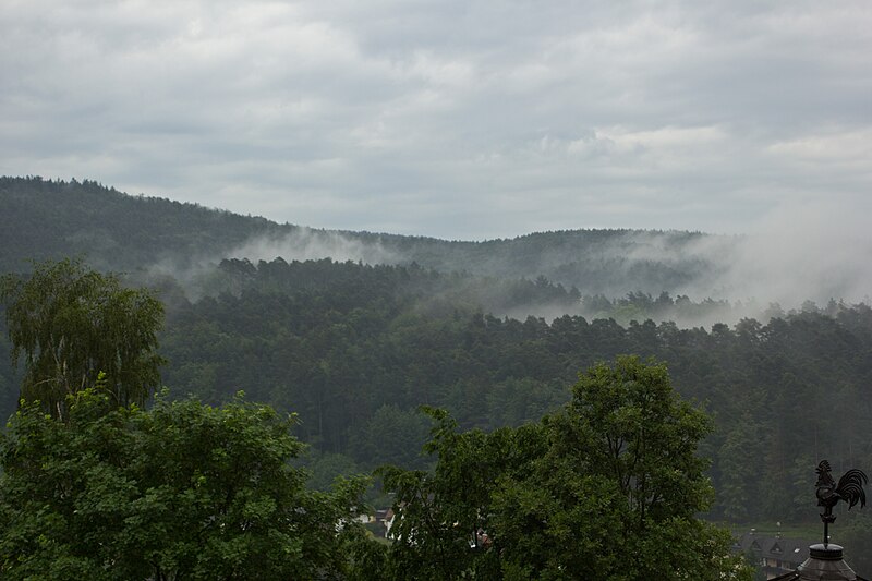 File:SpessartNebel003.jpg