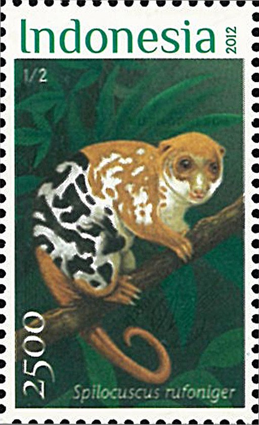 Spilocuscus rufoniger 2012 stamp of Indonesia