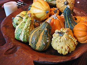 Diferentes cultivares de Cucurbita pepo de tipo decorativo, utilizados como adornos de otoño. Numerosos cultivares de fruto pequeño y vistoso y cáscara dura que poseen un público adepto en Estados Unidos, que se agrupan en 'Cucurbita pepo Ornamental Gourd Group y filogenéticamente se extraen de varias variedades diferentes dentro de esa especie. Algunos cultivares ornamentales como 'Flat' ("aplanado"), 'Miniature Ball' ("pelota en miniatura") y 'Pear' ("pera") difieren poco de las variedades silvestres y las naturalizadas[cita 9]​. Nombres botánicos antiguos: Cucurbita pepo var. ovifera y Cucurbita pepo var. aurantia y Cucurbita pepo var. verrucosa, Cucurbita pepo convar. microcarpina. En los arreglos se los suele entremezclar con los comestibles "mini pumpkin" (verlos en Zapallos y pipianes con uso primario alternativo).