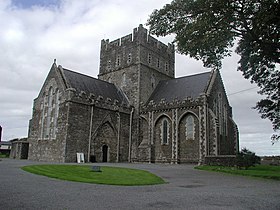 St Brigid's Cathedral Kildare - geograph.org.uk - 250948.jpg