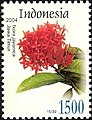 Flora - Ixora javanica