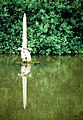 Sculpture de l'épée Excalibur donnée au roi Arthur par la Dame du lac, dans les jardins du lac de Kingston Maurward (en).