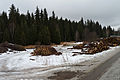 Čeština: Sklad dřeva v obci Stožec v okrese Prachatice. English: Timber stored in the municipality of Stožec, Prachatice District, Czech Republic.