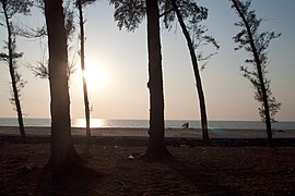 Sunset at the Querim Beach, sun in the sky and trees, Goa, India.jpg