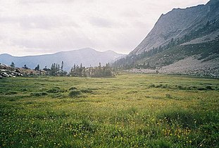 Tamarack Meadow at 9,500 feet (2,900 m), below Triple Divide Peak.