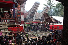 Slaughter of swine at a funeral Tana Toraja, Salu funeral (6823105668).jpg