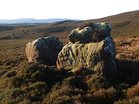 The Priest and Clerk sandstone rocks east of Cartington Hill, with the Simonside Hills in the distance The Priest and Clerk - geograph.org.uk - 303365.jpg