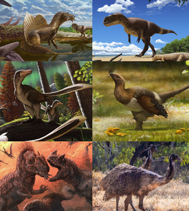 Некоторые представители теропод. 1-й ряд: Spinosaurus aegyptiacus & Carcharodontosaurus saharicus, Saltriovenator zanellai; 2-й ряд: аляскинские Saurornitholestinae[en], Serikornis sungei; 3-й ряд: Allosaurus sp. & Ceratosaurus sp., Dromaius novaehollandiae