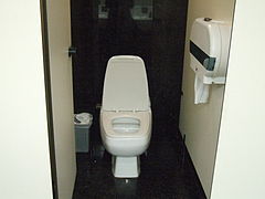 Modern sit toilet in Beijing Airport, China