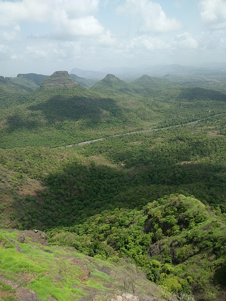 File:Top of asherigadh.jpg