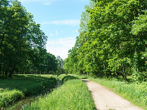 Torgau Entenfang Nordumfluter