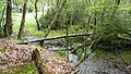 Deutsch: Toteiskessel 9, Toteiskessel-Wanderweg bei Haag in Oberbayern