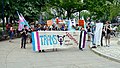 Trans Solidarity Rally and March 55435 (17608494850).jpg