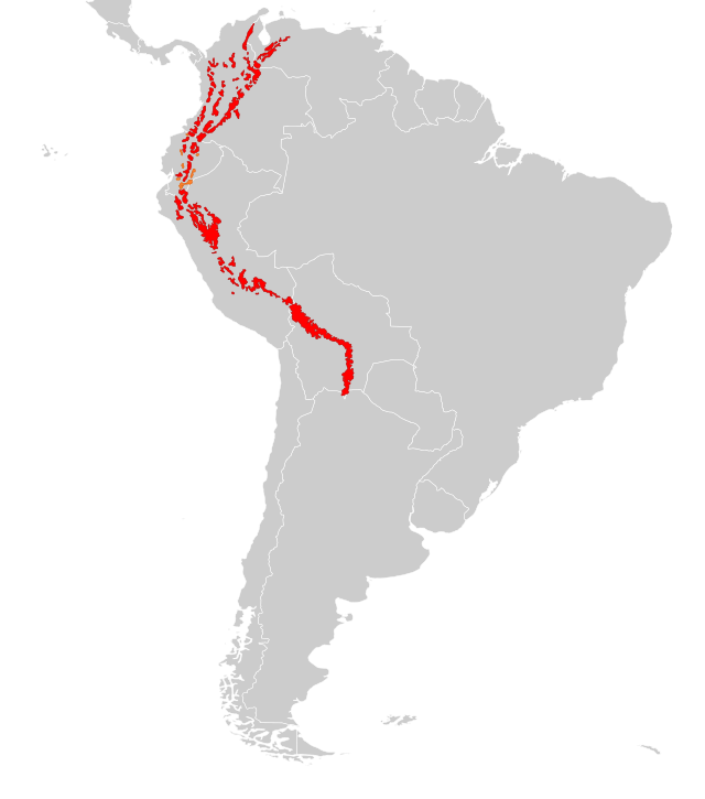 Distribución do oso de anteollos