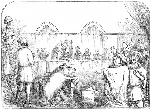 Illustration from Chambers Book of Days depicting a sow and her piglets being tried for the murder of a child. The trial allegedly took place in 1457, the mother being found guilty and the piglets acquitted.