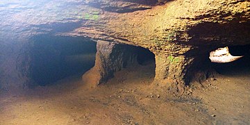 Tre della galleria sotterranea con ampliamenti realizzati da uomini a Dogbo in Benin.jpg