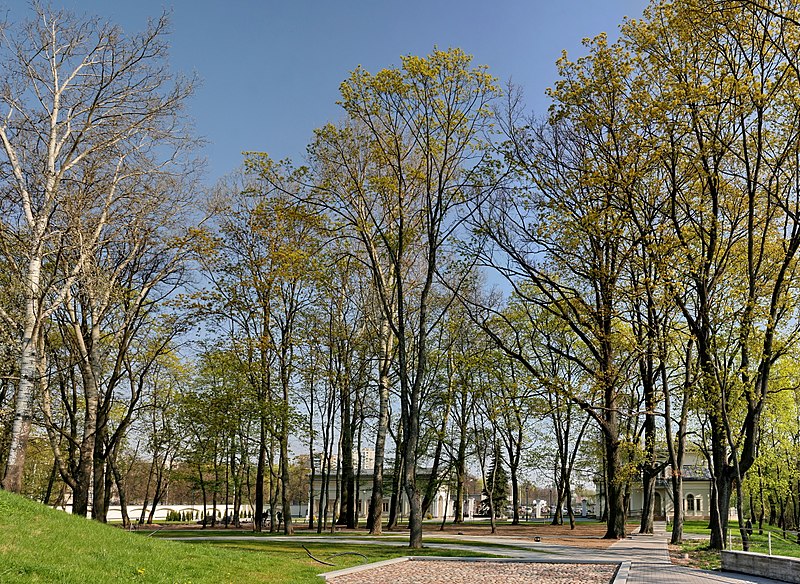 File:Tuskulenai Park.jpg