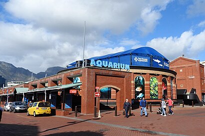 How to get to Two Oceans Aquarium with public transport- About the place
