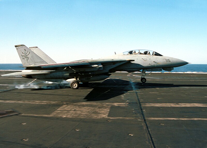 File:US Navy 020129-N-2003S-001 F-14.jpg