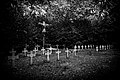 Undiscovered graveyard of the Benedictine monastery Maria Mediatrix in Affligem 02.jpg
