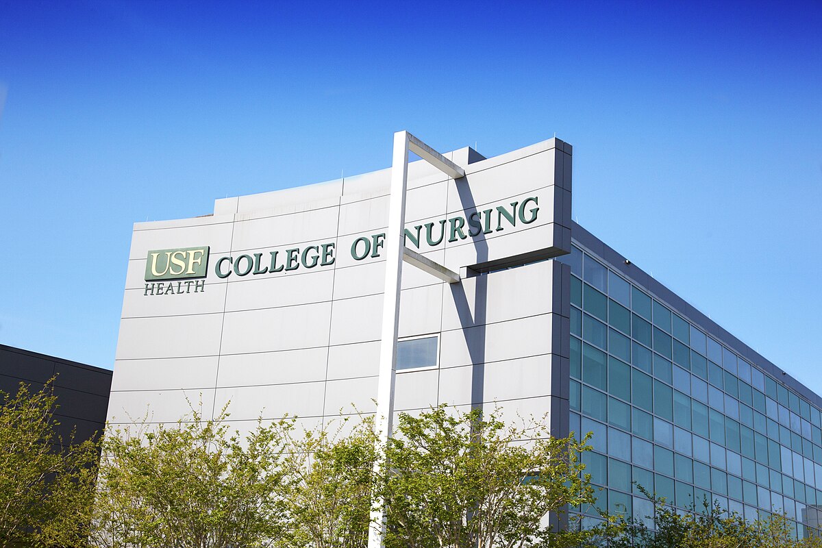 University of South Florida College of Nursing - Wikipedia