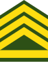 Уругвай-Армия-OR-9.svg