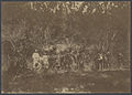 UvA-BC 300.414 - Siboga - inheemse bewoners van Timor samen met het echtpaar Weber en een ander lid van de expeditie in een bos aan de oostkant van het eiland.jpg