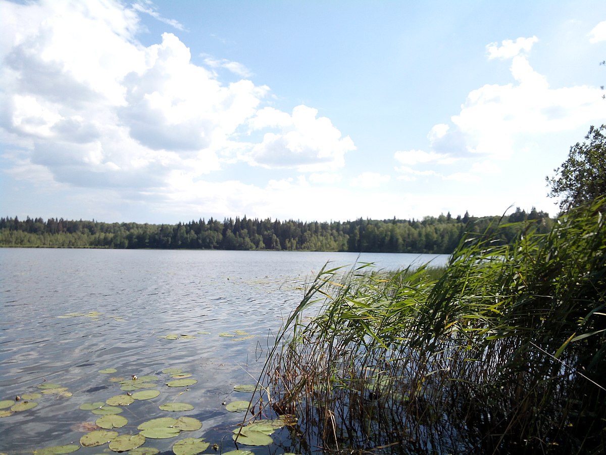 Река юг нижегородская область фото