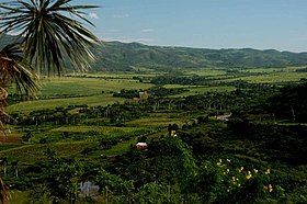 Illustrasjonsbilde av artikkelen Los Ingenios Valley