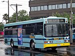 Ventura Bus Lines Route 704.jpg