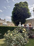 Miniatuur voor Bestand:Vienna Musical Trip-Schonbrunn Palace- Sissi Garden.jpg