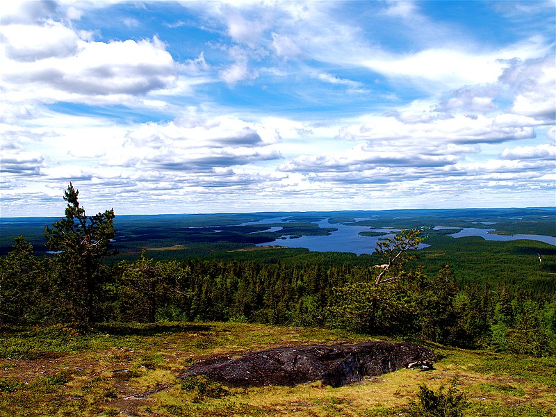 File:View from Iivaara (170375758).jpg