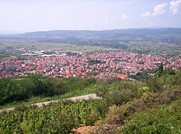 Vlasotince – Veduta