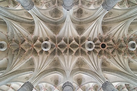 Vault of the Sint-Martinuskerk in Weert the Netherlands