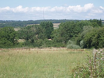 The mast seen in the distance from Barry Wenvoe Transmitter from Barry.jpg