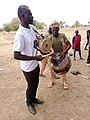 Wiki loves folklore 2023 in the Upper East region of Ghana 10