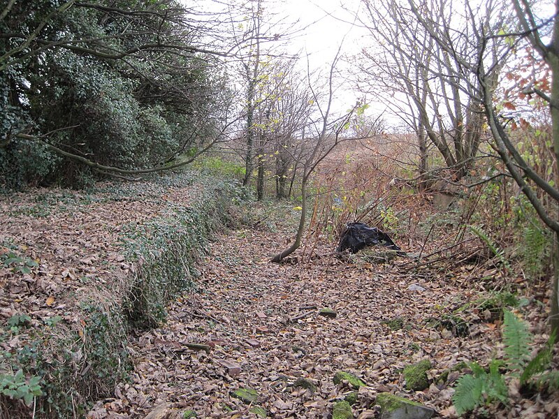 File:Woodkirk railway station (site), Yorkshire (geograph 3773081).jpg