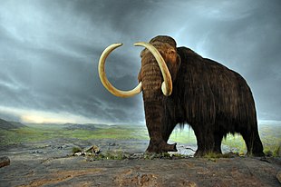 Reconstrução de um mamute peludo em um fundo de céu tempestuoso