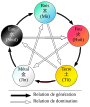 Cosmologie Wuxing: Histoire, Cycles, Évolution