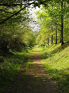 Wye Valley Walk Long-distance footpath in Wales and England