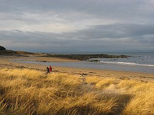 Yellowcraig, looking west Yellowcraigs1.jpg